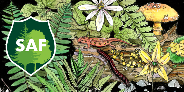 Biodiversity Bumper Sticker Sale