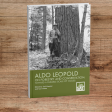 Aldo Leopold on Forestry and Conservation: Toward a Durable Scale of Values Hot on Sale