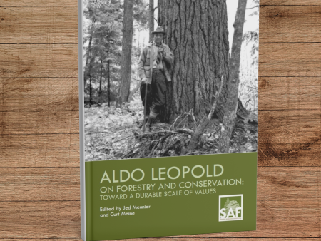 Aldo Leopold on Forestry and Conservation: Toward a Durable Scale of Values Hot on Sale