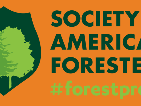 Forester Bumper Sticker Online Sale